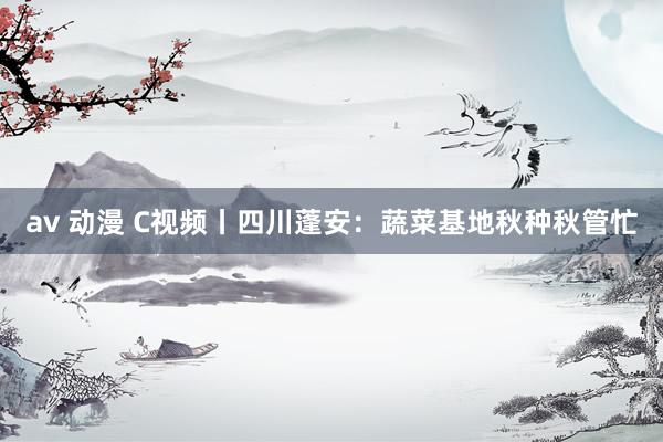 av 动漫 C视频丨四川蓬安：蔬菜基地秋种秋管忙