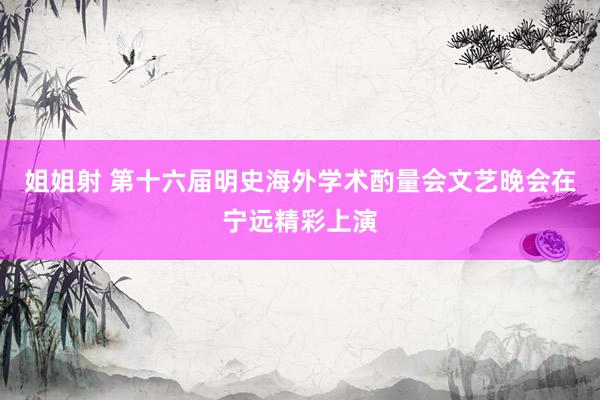 姐姐射 第十六届明史海外学术酌量会文艺晚会在宁远精彩上演