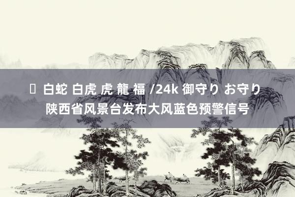 ✨白蛇 白虎 虎 龍 福 /24k 御守り お守り 陕西省风景台发布大风蓝色预警信号