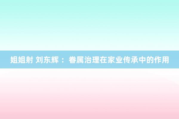 姐姐射 刘东辉 ：眷属治理在家业传承中的作用