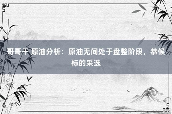 哥哥干 原油分析：原油无间处于盘整阶段，恭候标的采选