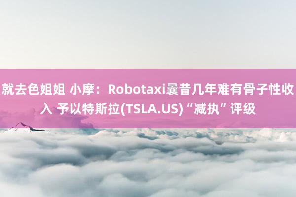就去色姐姐 小摩：Robotaxi曩昔几年难有骨子性收入 予以特斯拉(TSLA.US)“减执”评级