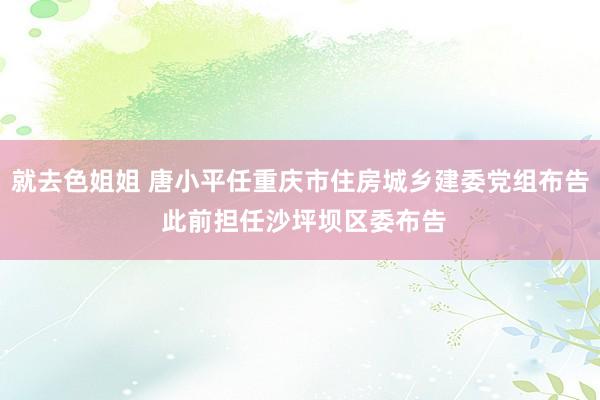 就去色姐姐 唐小平任重庆市住房城乡建委党组布告 此前担任沙坪坝区委布告