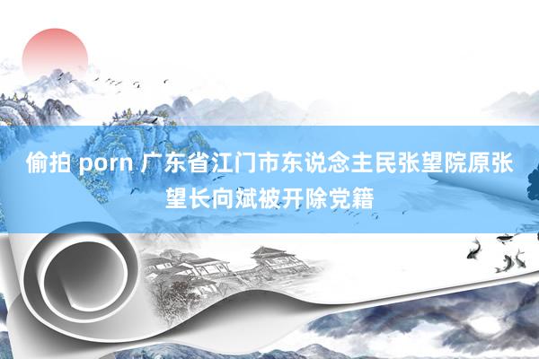 偷拍 porn 广东省江门市东说念主民张望院原张望长向斌被开除党籍