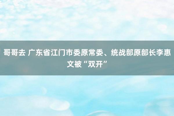 哥哥去 广东省江门市委原常委、统战部原部长李惠文被“双开”