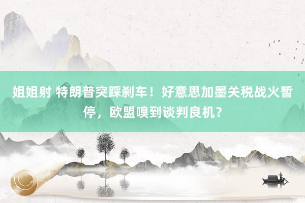 姐姐射 特朗普突踩刹车！好意思加墨关税战火暂停，欧盟嗅到谈判良机？