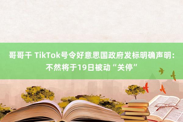 哥哥干 TikTok号令好意思国政府发标明确声明：不然将于19日被动“关停”