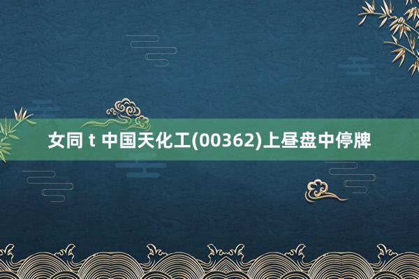 女同 t 中国天化工(00362)上昼盘中停牌