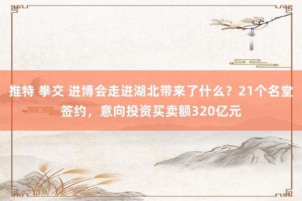 推特 拳交 进博会走进湖北带来了什么？21个名堂签约，意向投资买卖额320亿元