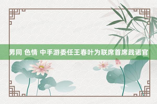 男同 色情 中手游委任王春叶为联席首席践诺官